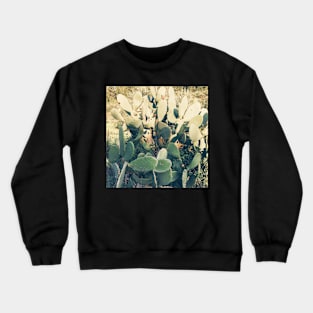 Cactus Garden II Crewneck Sweatshirt